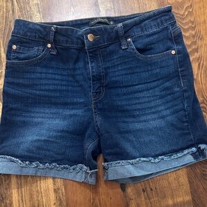 Truth + Theory Denim Blue Women's Shorts